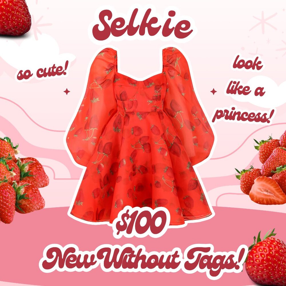 NWOT Selkie Like Strawberries Princess Dress XS